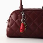 watermelon bag charm