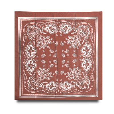 copper brown paisley bandana
